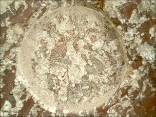 View image taken on Mars, Mars Perseverance Sol 2011: WATSON Camera 