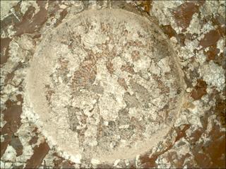 View image taken on Mars, Mars Perseverance Sol 2011: WATSON Camera 
