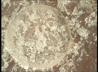 View image taken on Mars, Mars Perseverance Sol 2011: WATSON Camera 