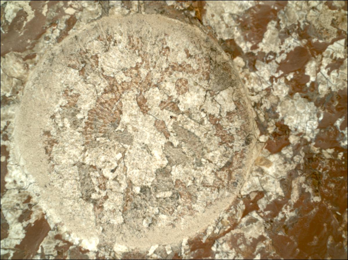 This image was taken by SHERLOC_WATSON onboard NASA's Mars rover Perseverance on Sol 2011