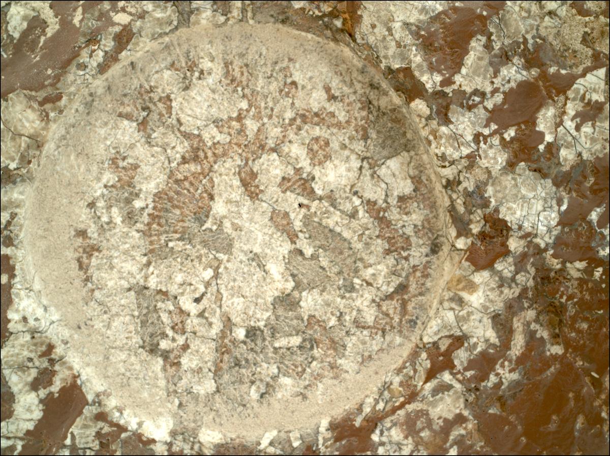 This image was taken by SHERLOC_WATSON onboard NASA's Mars rover Perseverance on Sol 2011