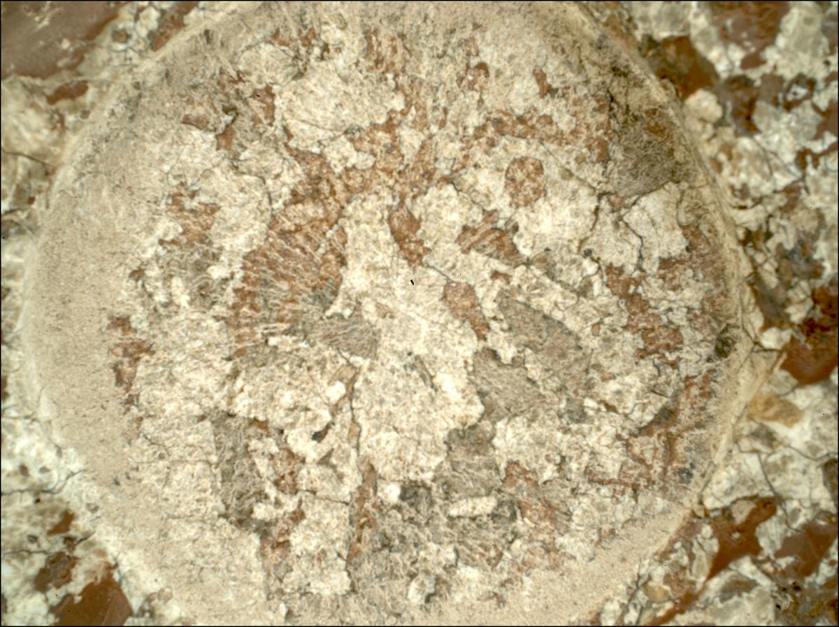 This image was taken by SHERLOC_WATSON onboard NASA's Mars rover Perseverance on Sol 2011