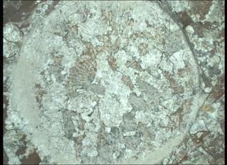 View image taken on Mars, Mars Perseverance Sol 2011: WATSON Camera 