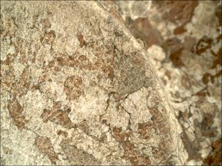 View image taken on Mars, Mars Perseverance Sol 2014: WATSON Camera 