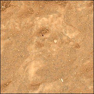 View image taken on Mars, Mars Perseverance Sol 2014: WATSON Camera 