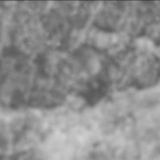 View image taken on Mars, Mars Perseverance Sol 2015: SHERLOC ACI Camera 