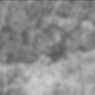View image taken on Mars, Mars Perseverance Sol 2015: SHERLOC ACI Camera 