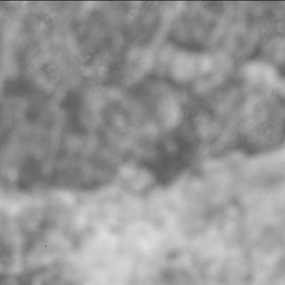 View image taken on Mars, Mars Perseverance Sol 2015: SHERLOC ACI Camera 