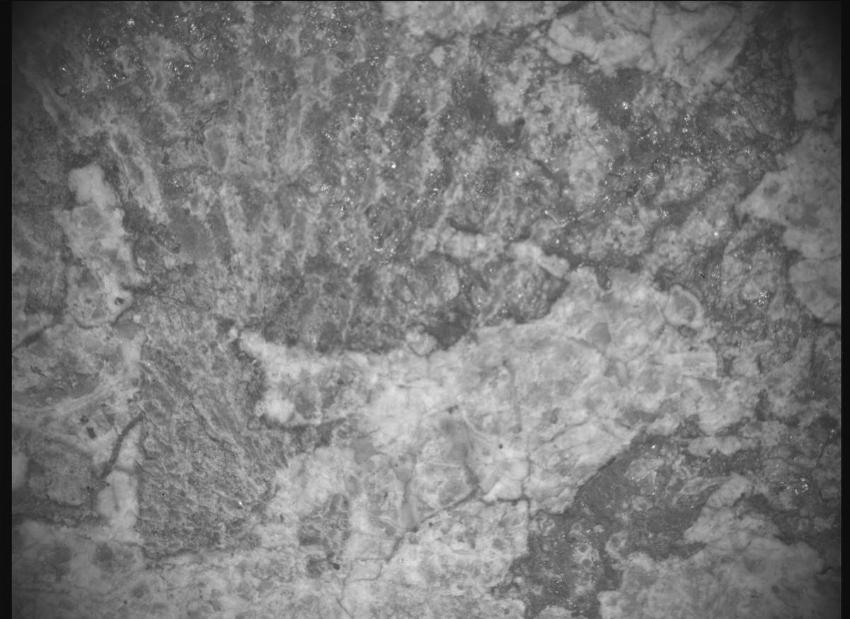 This image was taken by SHERLOC_ACI onboard NASA's Mars rover Perseverance on Sol 2015