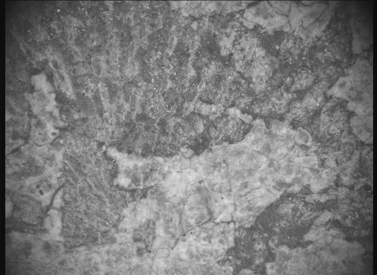 This image was taken by SHERLOC_ACI onboard NASA's Mars rover Perseverance on Sol 2015