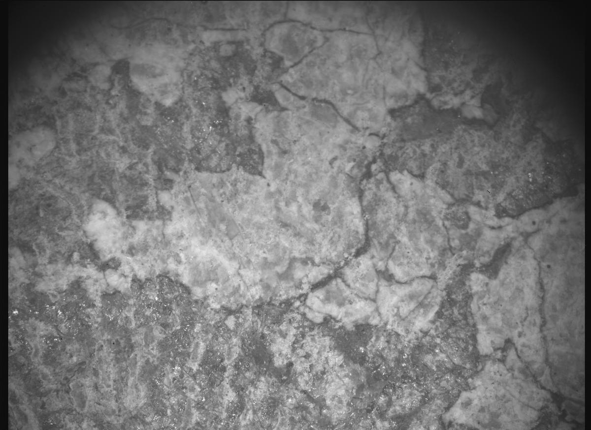 This image was taken by SHERLOC_ACI onboard NASA's Mars rover Perseverance on Sol 2015