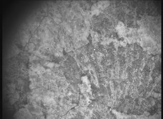 View image taken on Mars, Mars Perseverance Sol 2015: SHERLOC ACI Camera 