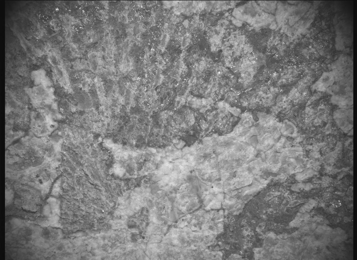 This image was taken by SHERLOC_ACI onboard NASA's Mars rover Perseverance on Sol 2015