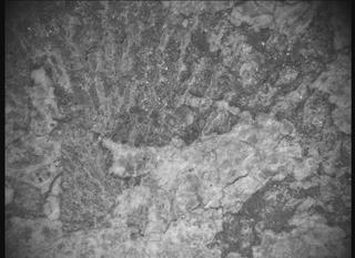 View image taken on Mars, Mars Perseverance Sol 2015: SHERLOC ACI Camera 