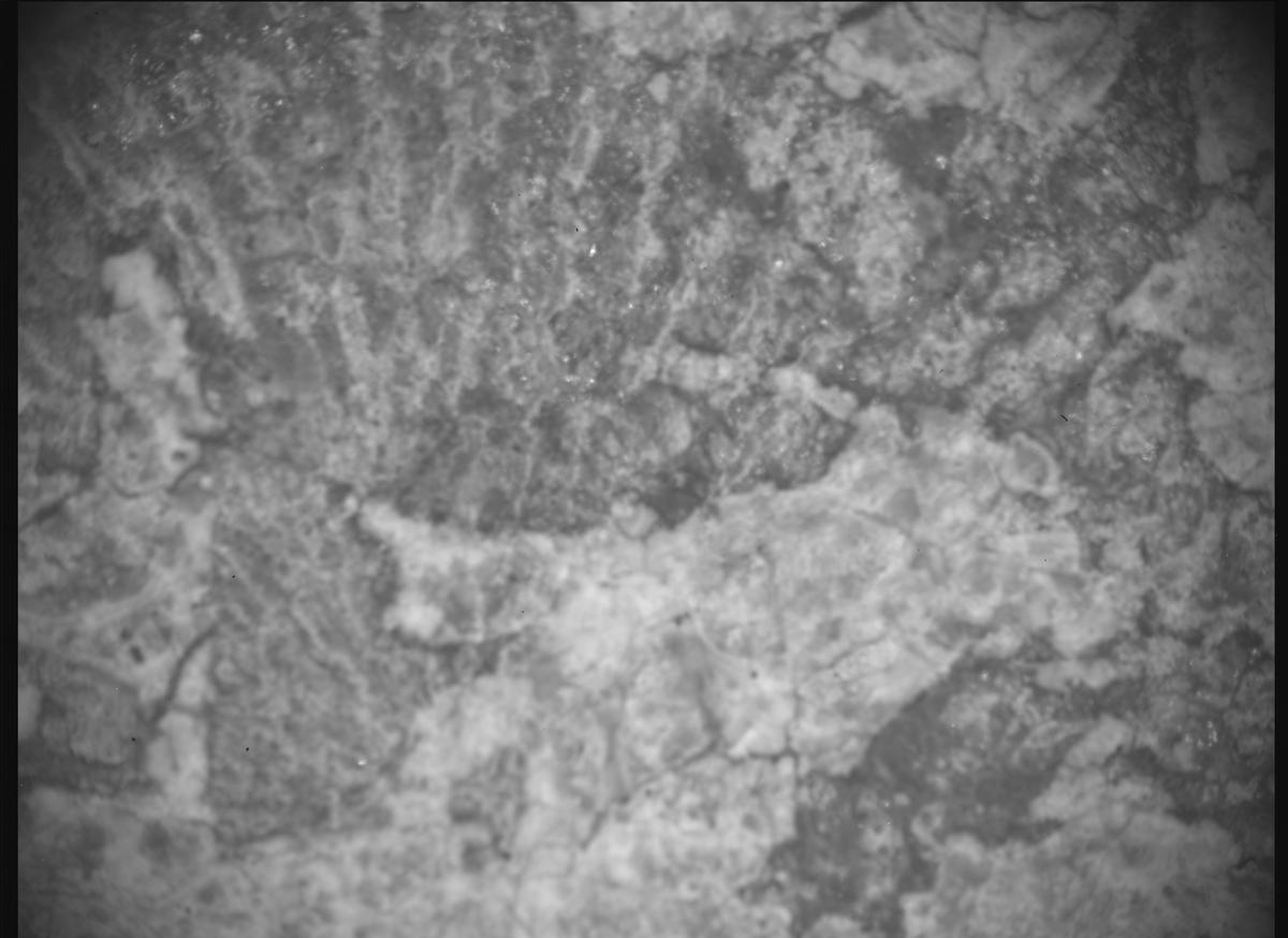 This image was taken by SHERLOC_ACI onboard NASA's Mars rover Perseverance on Sol 2015