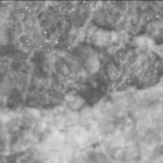 View image taken on Mars, Mars Perseverance Sol 2015: SHERLOC ACI Camera 