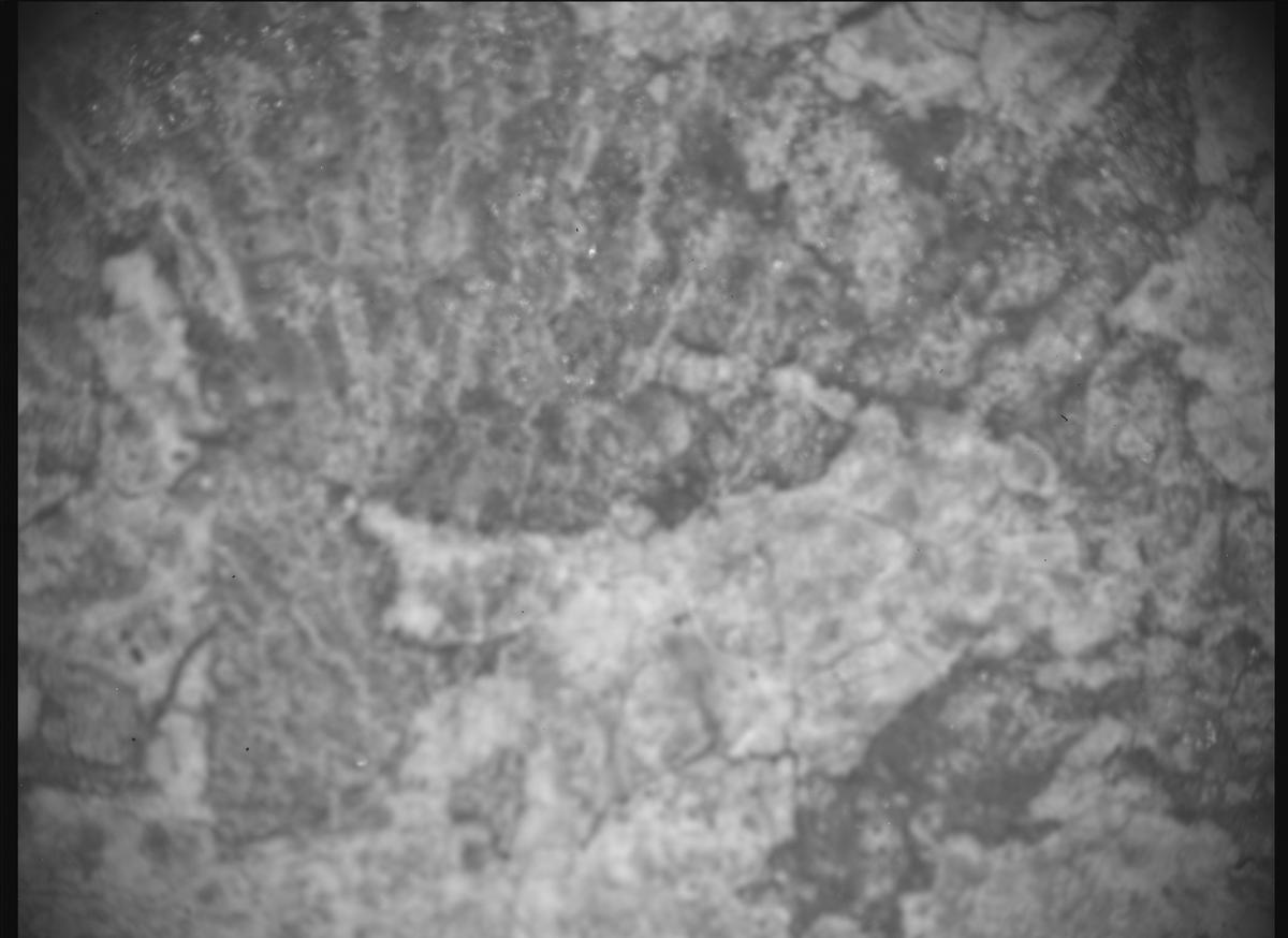 This image was taken by SHERLOC_ACI onboard NASA's Mars rover Perseverance on Sol 2015
