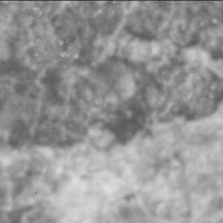 View image taken on Mars, Mars Perseverance Sol 2015: SHERLOC ACI Camera 