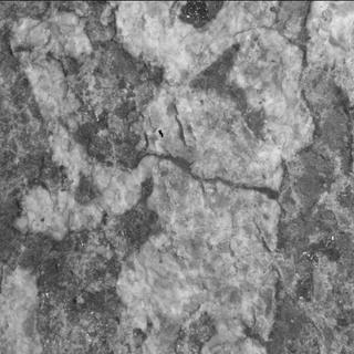View image taken on Mars, Mars Perseverance Sol 2015: WATSON Camera 
