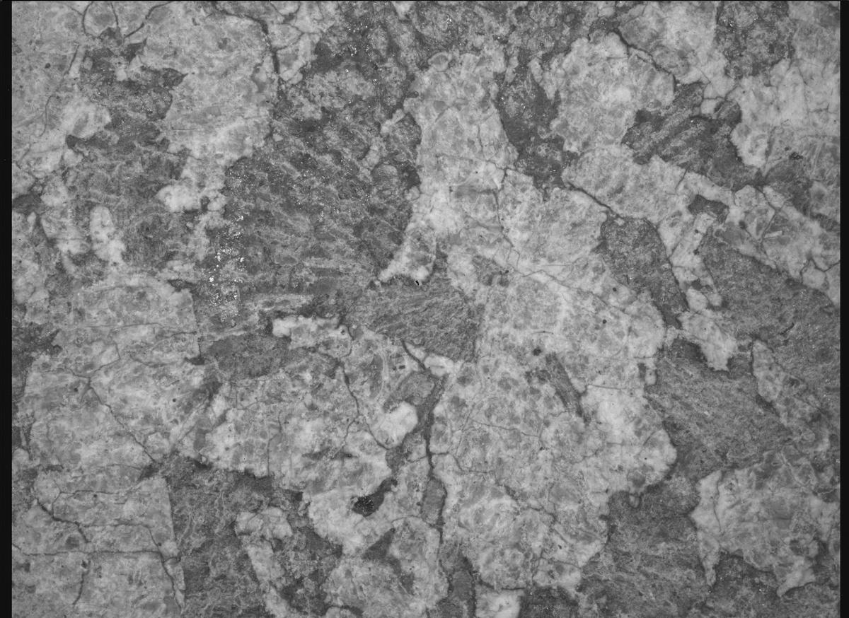 This image was taken by SHERLOC_WATSON onboard NASA's Mars rover Perseverance on Sol 2015