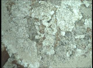 View image taken on Mars, Mars Perseverance Sol 2015: WATSON Camera 