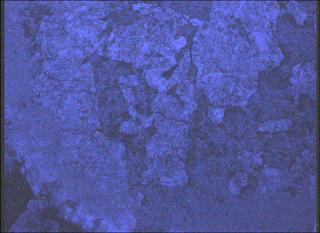 View image taken on Mars, Mars Perseverance Sol 2015: WATSON Camera 