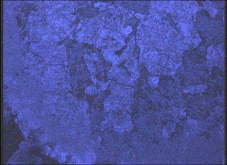 View image taken on Mars, Mars Perseverance Sol 2015: WATSON Camera 