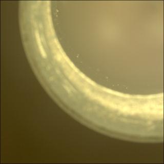 View image taken on Mars, Mars Perseverance Sol 2018: Sample Caching System Camera (CacheCam)