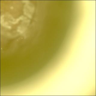 View image taken on Mars, Mars Perseverance Sol 2018: Sample Caching System Camera (CacheCam)