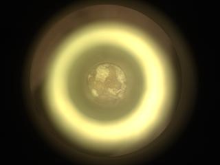 View image taken on Mars, Mars Perseverance Sol 2018: Sample Caching System Camera (CacheCam)
