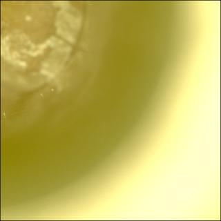 View image taken on Mars, Mars Perseverance Sol 2018: Sample Caching System Camera (CacheCam)