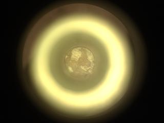 View image taken on Mars, Mars Perseverance Sol 2018: Sample Caching System Camera (CacheCam)