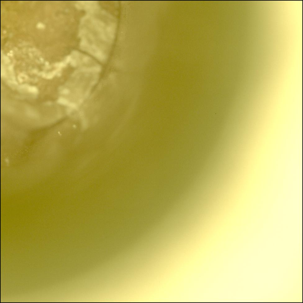 This image was taken by CACHECAM onboard NASA's Mars rover Perseverance on Sol 2018