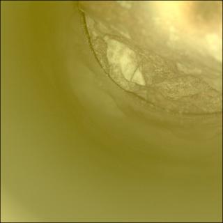 View image taken on Mars, Mars Perseverance Sol 2018: Sample Caching System Camera (CacheCam)