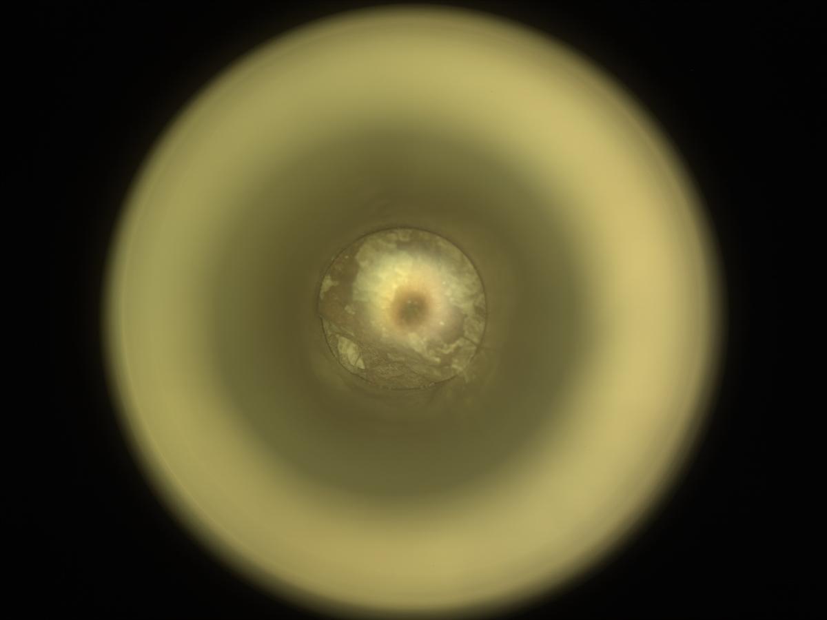 This image was taken by CACHECAM onboard NASA's Mars rover Perseverance on Sol 2018