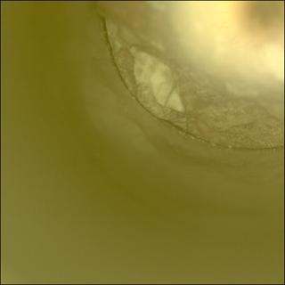View image taken on Mars, Mars Perseverance Sol 2018: Sample Caching System Camera (CacheCam)