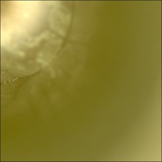 View image taken on Mars, Mars Perseverance Sol 2018: Sample Caching System Camera (CacheCam)
