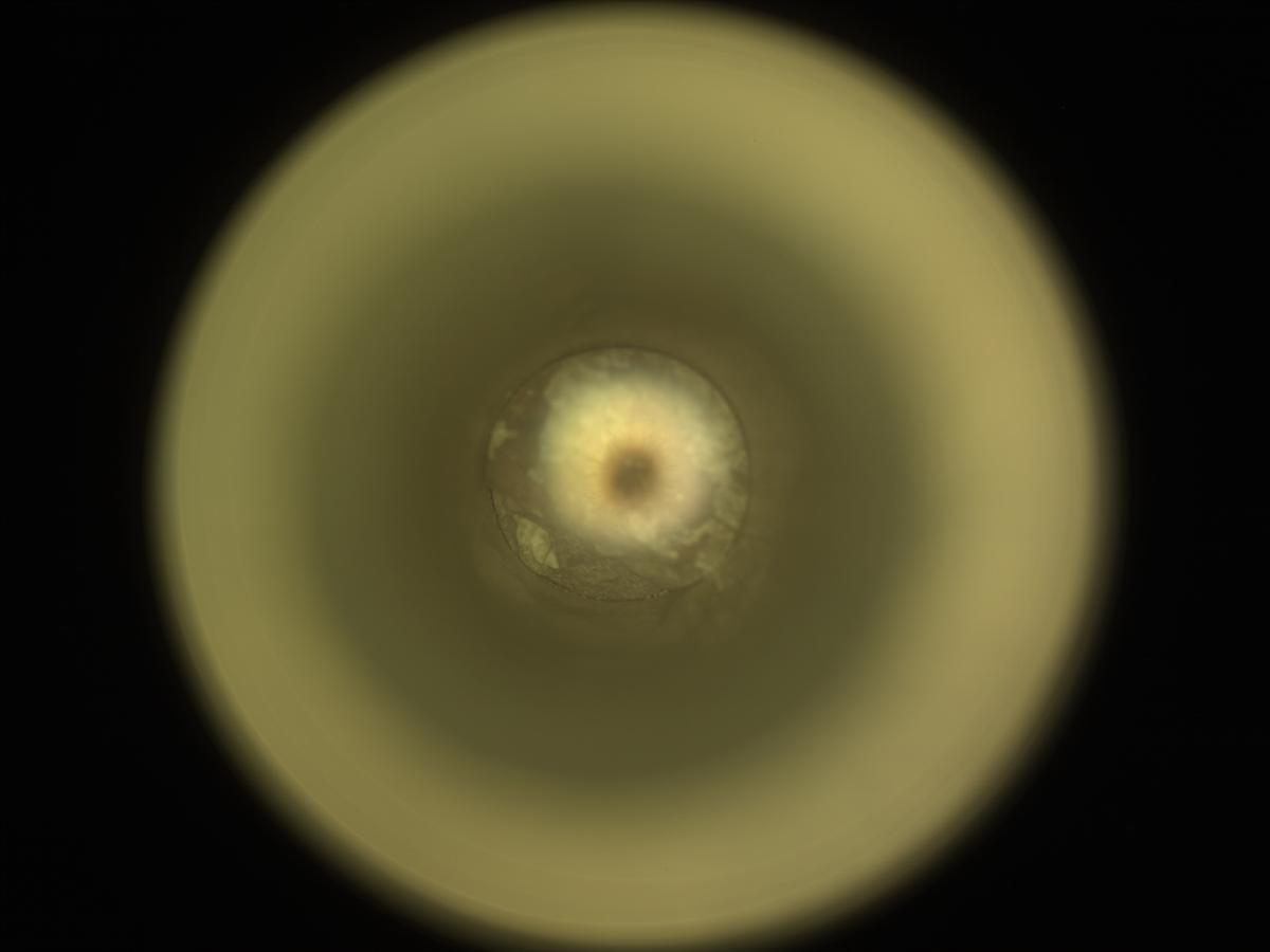 This image was taken by CACHECAM onboard NASA's Mars rover Perseverance on Sol 2018