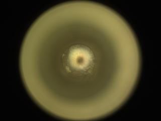 View image taken on Mars, Mars Perseverance Sol 2018: Sample Caching System Camera (CacheCam)