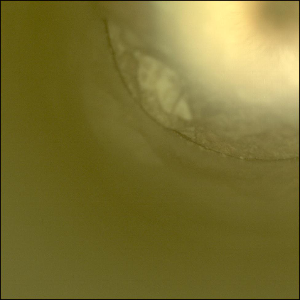 This image was taken by CACHECAM onboard NASA's Mars rover Perseverance on Sol 2018