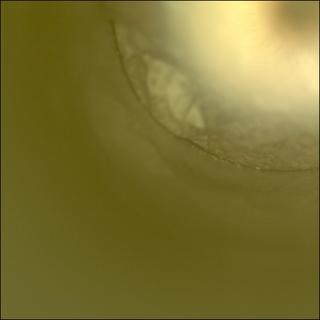 View image taken on Mars, Mars Perseverance Sol 2018: Sample Caching System Camera (CacheCam)
