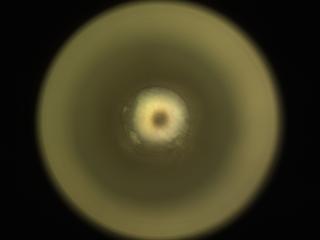 View image taken on Mars, Mars Perseverance Sol 2018: Sample Caching System Camera (CacheCam)