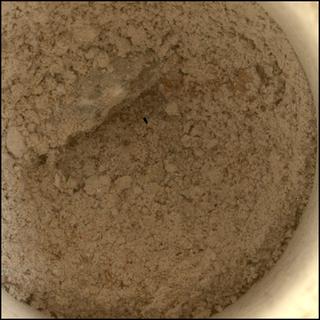 View image taken on Mars, Mars Perseverance Sol 2019: WATSON Camera 