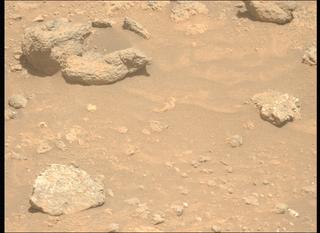 View image taken on Mars, Mars Perseverance Sol 2019: Left Mastcam-Z Camera