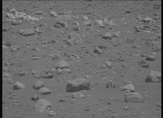 View image taken on Mars, Mars Perseverance Sol 2019: Left Mastcam-Z Camera