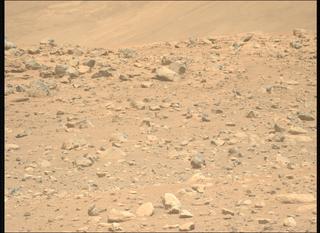 View image taken on Mars, Mars Perseverance Sol 2019: Left Mastcam-Z Camera