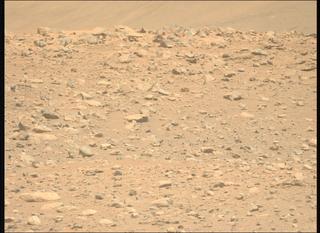 View image taken on Mars, Mars Perseverance Sol 2019: Left Mastcam-Z Camera