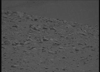View image taken on Mars, Mars Perseverance Sol 2019: Left Mastcam-Z Camera