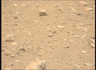 View image taken on Mars, Mars Perseverance Sol 2019: Left Mastcam-Z Camera