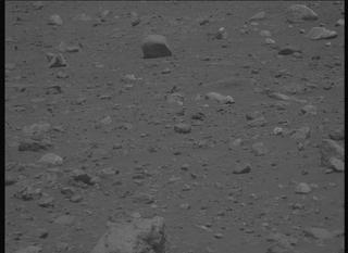 View image taken on Mars, Mars Perseverance Sol 2019: Left Mastcam-Z Camera
